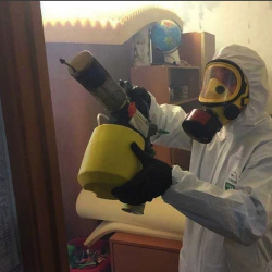 Уничтожение клопов в квартире. Челябинск